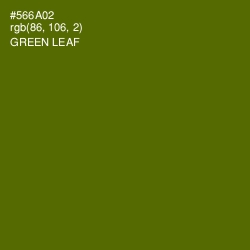 #566A02 - Green Leaf Color Image